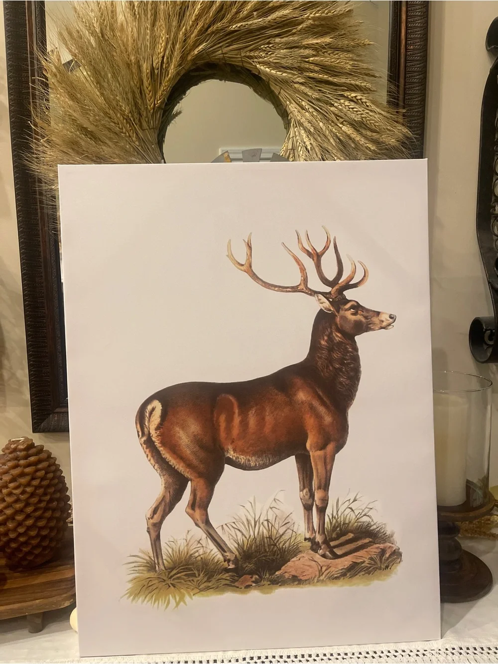 Holly Williams Fall Harvest Deer Canvas Décor Picture 18